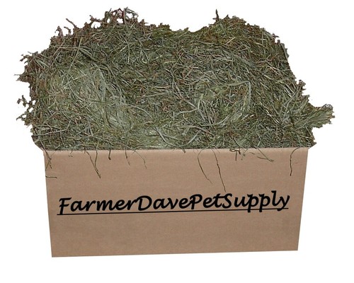 Premium 3rd cut timothy - 3,