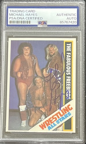 Michael hayes auto psa - michael,